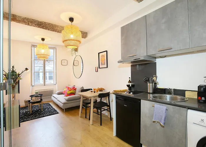 Le Capitole - Hyper Centre Apartamento